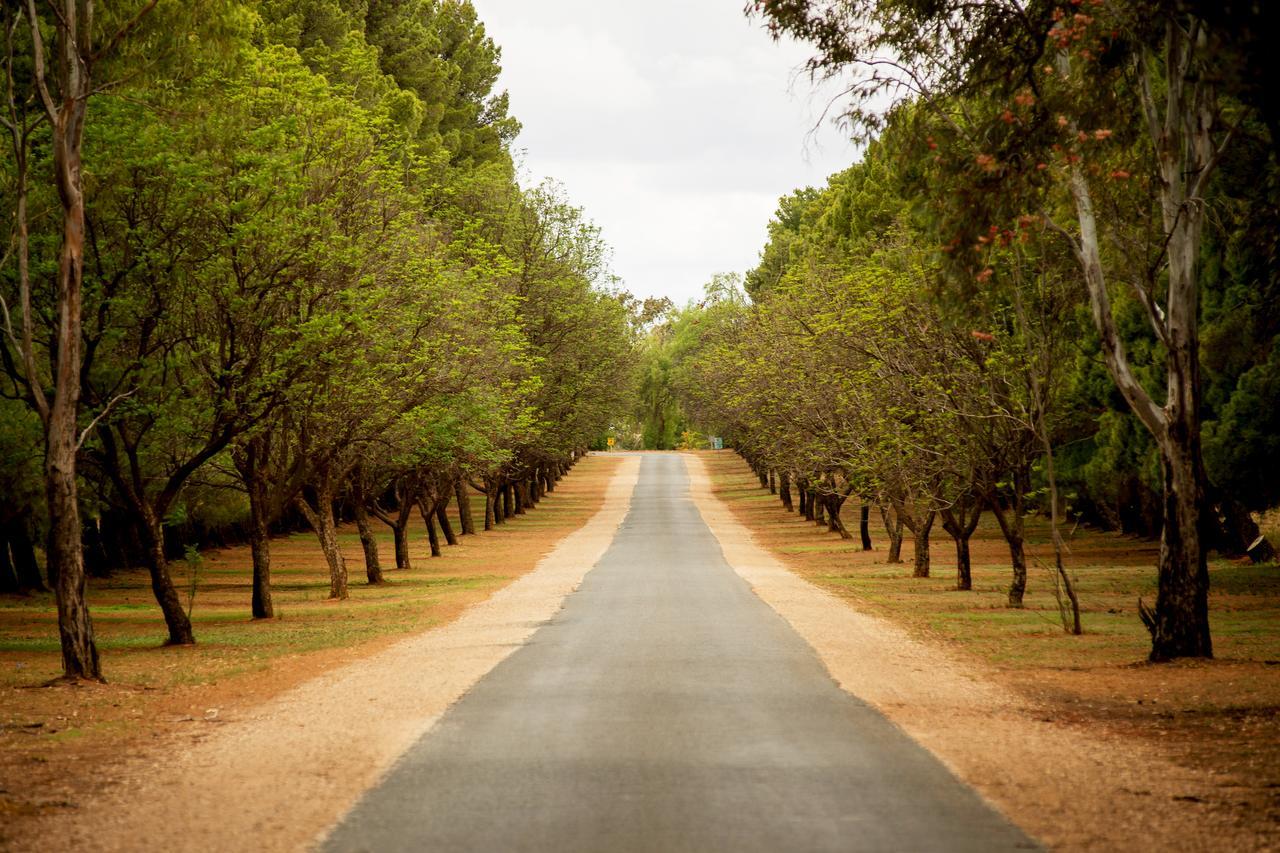 Renmark Country Club Εξωτερικό φωτογραφία