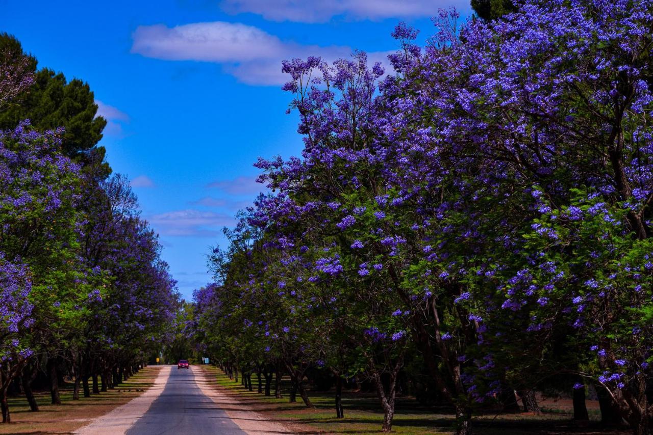 Renmark Country Club Εξωτερικό φωτογραφία